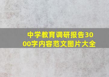 中学教育调研报告3000字内容范文图片大全