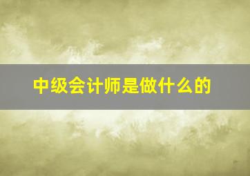 中级会计师是做什么的