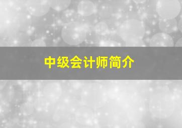 中级会计师简介