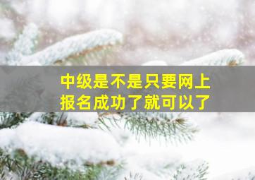 中级是不是只要网上报名成功了就可以了