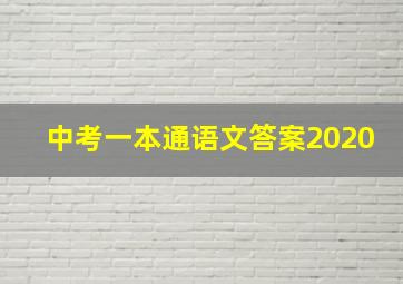 中考一本通语文答案2020