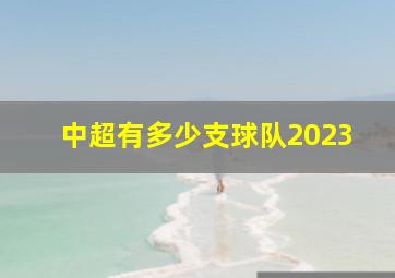 中超有多少支球队2023