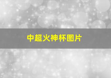 中超火神杯图片