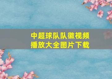 中超球队队徽视频播放大全图片下载