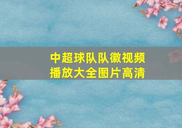 中超球队队徽视频播放大全图片高清