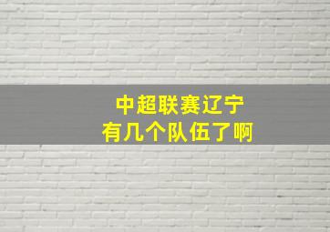 中超联赛辽宁有几个队伍了啊