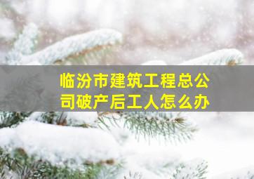 临汾市建筑工程总公司破产后工人怎么办