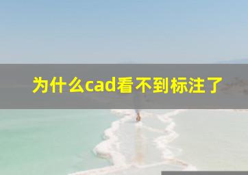 为什么cad看不到标注了