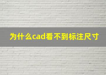 为什么cad看不到标注尺寸