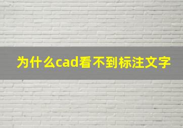 为什么cad看不到标注文字