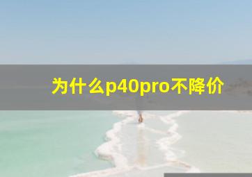 为什么p40pro不降价