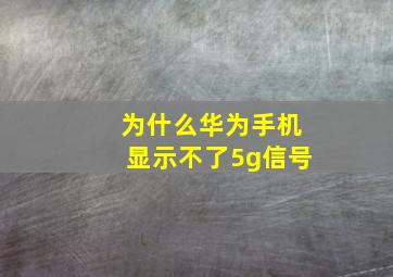 为什么华为手机显示不了5g信号