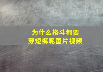 为什么格斗都要穿短裤呢图片视频