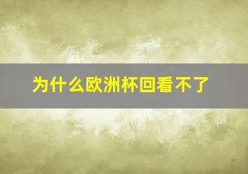 为什么欧洲杯回看不了