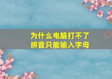 为什么电脑打不了拼音只能输入字母