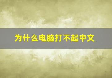 为什么电脑打不起中文