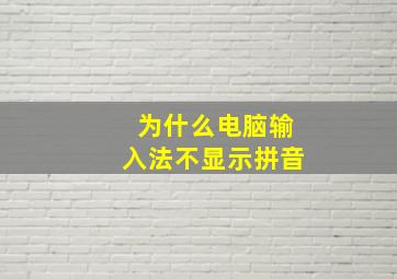 为什么电脑输入法不显示拼音