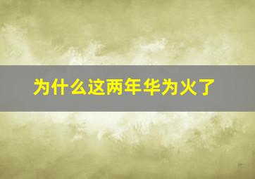 为什么这两年华为火了