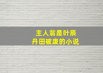 主人翁是叶辰丹田被废的小说