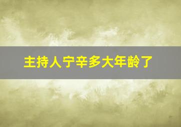 主持人宁辛多大年龄了