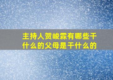 主持人贺峻霖有哪些干什么的父母是干什么的