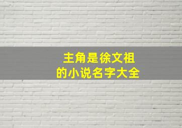 主角是徐文祖的小说名字大全