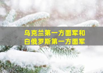 乌克兰第一方面军和白俄罗斯第一方面军