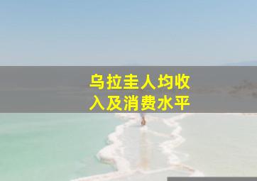 乌拉圭人均收入及消费水平