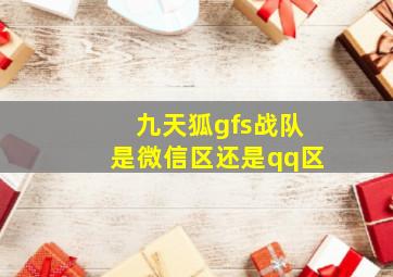 九天狐gfs战队是微信区还是qq区