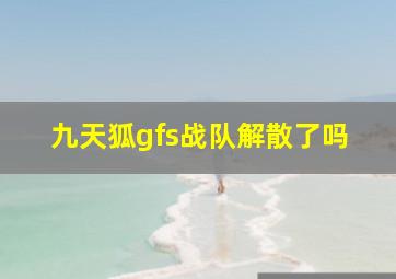 九天狐gfs战队解散了吗