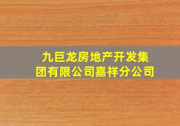 九巨龙房地产开发集团有限公司嘉祥分公司