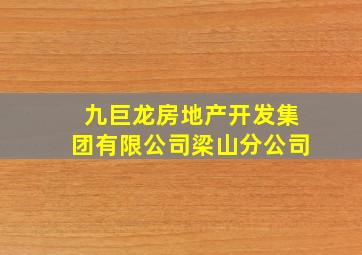 九巨龙房地产开发集团有限公司梁山分公司