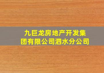 九巨龙房地产开发集团有限公司泗水分公司