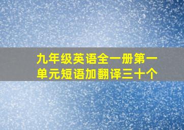 九年级英语全一册第一单元短语加翻译三十个