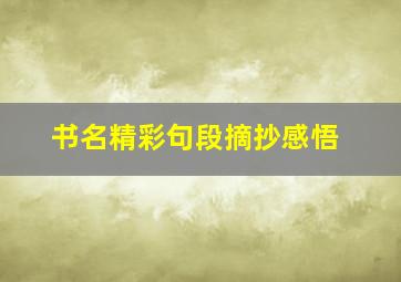 书名精彩句段摘抄感悟