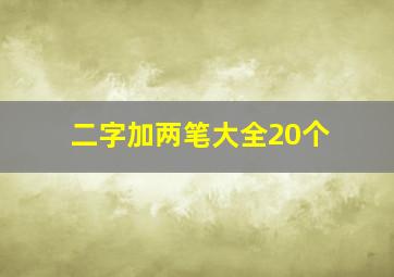 二字加两笔大全20个