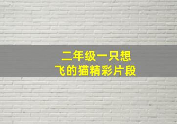 二年级一只想飞的猫精彩片段