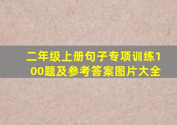 二年级上册句子专项训练100题及参考答案图片大全