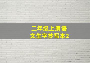 二年级上册语文生字抄写本2