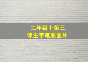 二年级上第三课生字笔顺图片