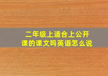 二年级上适合上公开课的课文吗英语怎么说