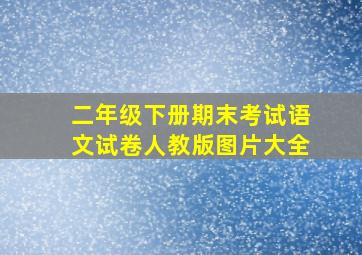 二年级下册期末考试语文试卷人教版图片大全