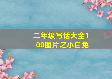 二年级写话大全100图片之小白兔