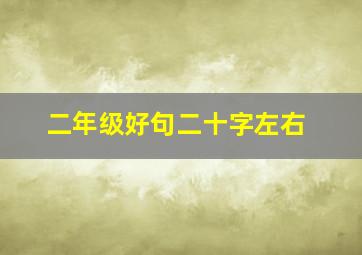 二年级好句二十字左右