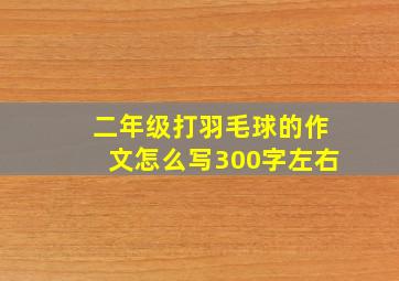 二年级打羽毛球的作文怎么写300字左右