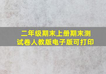 二年级期末上册期末测试卷人教版电子版可打印