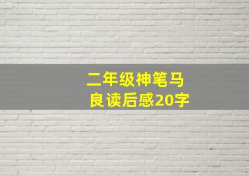 二年级神笔马良读后感20字