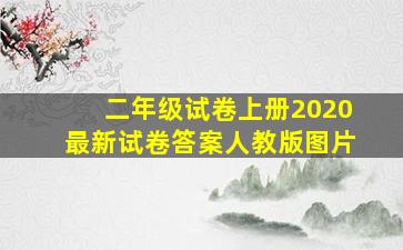 二年级试卷上册2020最新试卷答案人教版图片