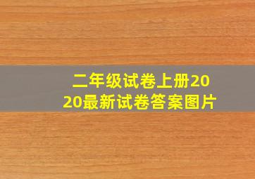 二年级试卷上册2020最新试卷答案图片