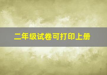 二年级试卷可打印上册